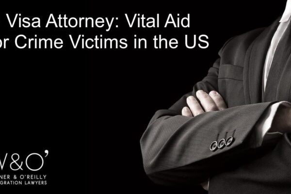 U visa attorney