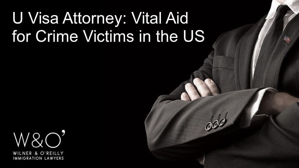U visa attorney