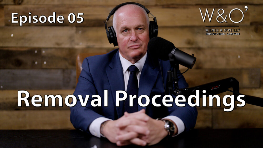 The Truth About Removal Proceedings and What to Expect in Immigration Court