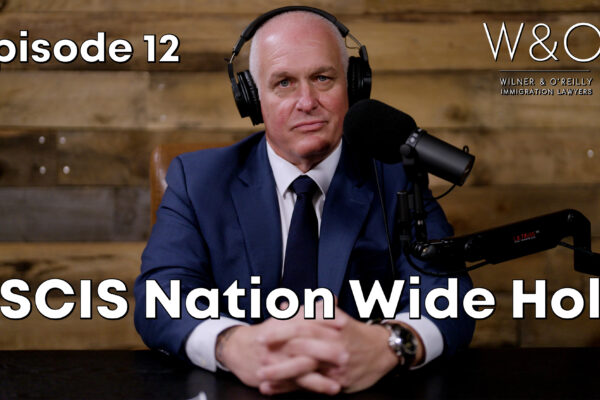 USCIS Delays Explained | Writ of Mandamus & Immigration Delays